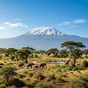 eSIM du Kenya