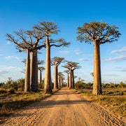 eSIM de voyage pour Madagascar