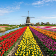 Hollanda için Seyahat eSIM'i